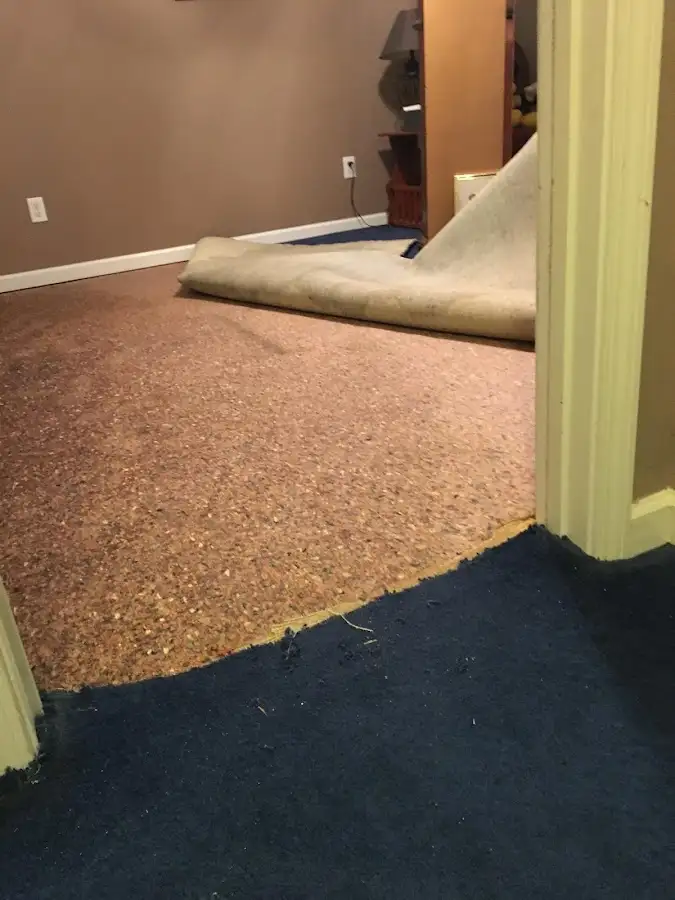 Carpet pad removal revealing water damage during Drying & Dehumidification in Neenah